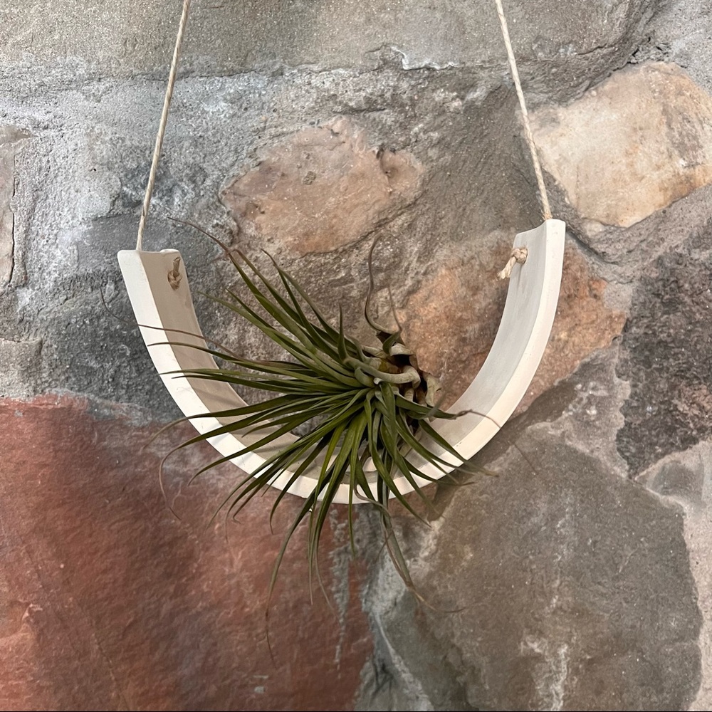 Matte Ceramic Air Plant Holder